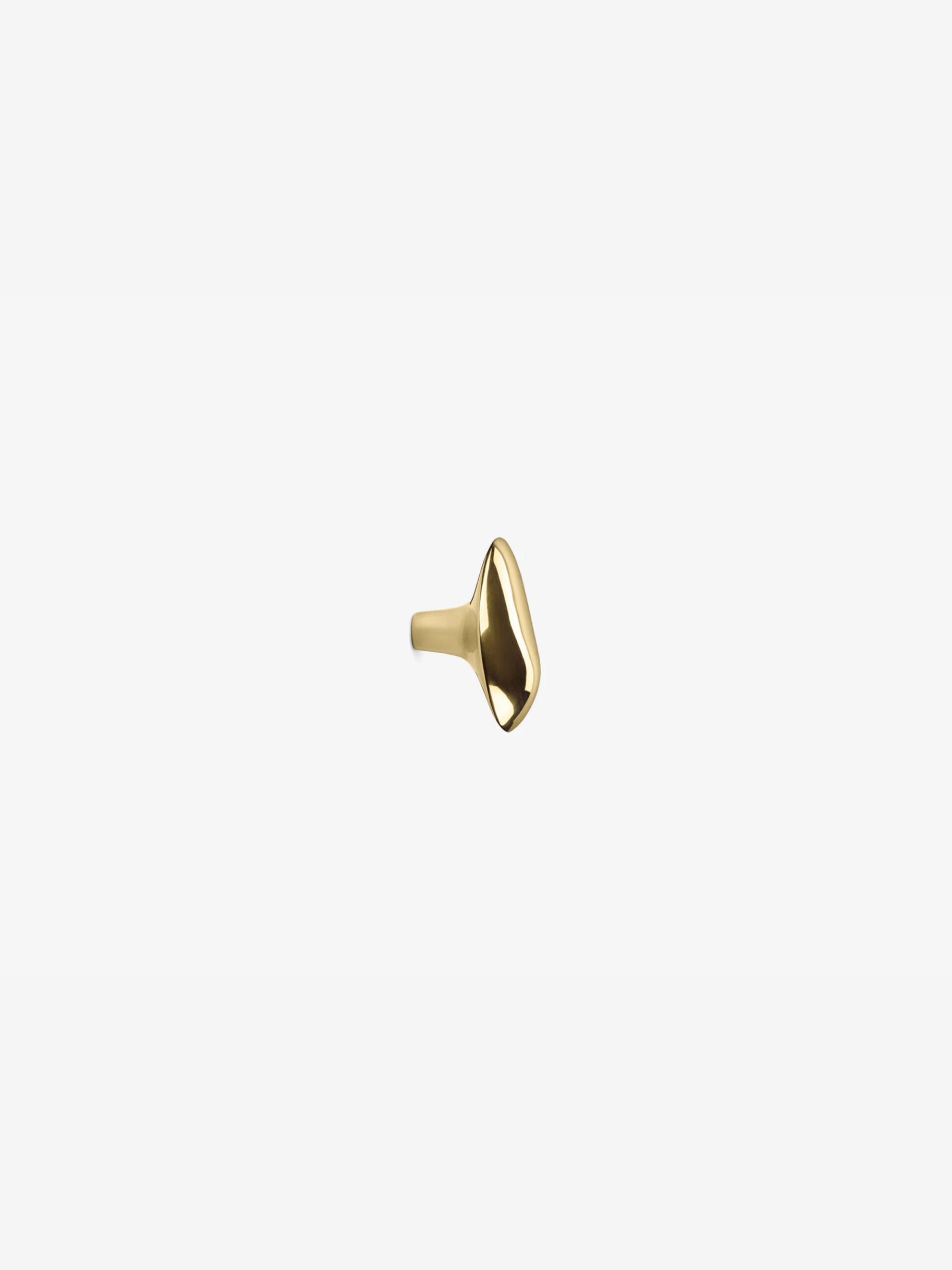Chanterelle Hook Brass