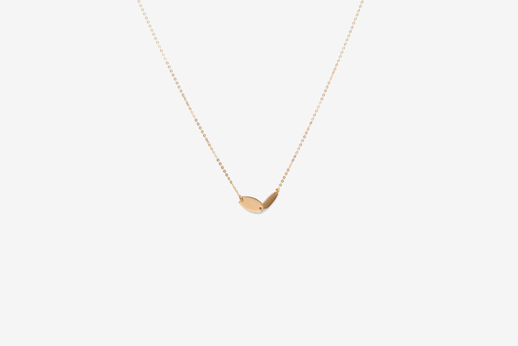 Rosa, <em>Gold</em>
